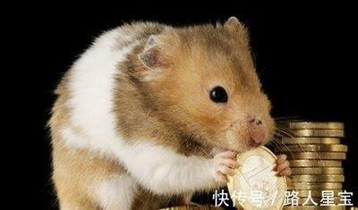 属鼠女与什么生肖配对好 属鼠女的最佳配偶是什么生肖