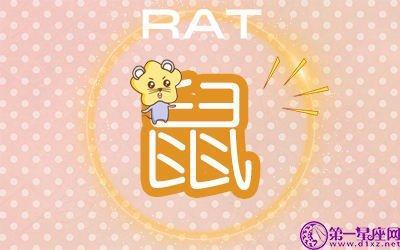 属鼠女生喜欢一个人的反应  这些行为说明了一切