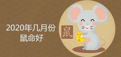 属鼠女的情商高的可怕 情商高的表现