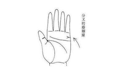 带你去看感情线分叉多的手相代表什么