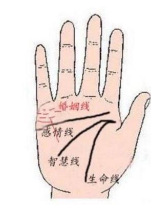 怎么看女人手相婚姻线分析 手相婚姻线意味着什么