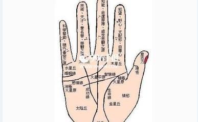 怎么看女人手相婚姻线图解分析 教你看女人婚姻线