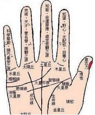 拥有这种手相的人据说命最苦生活很凄凉