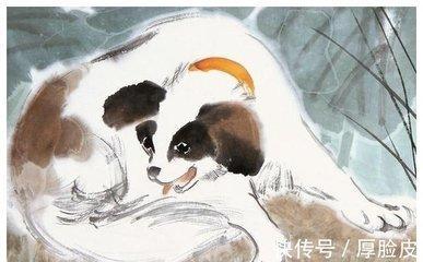 持之以恒是什么生肖 做事能坚持的生肖是什么