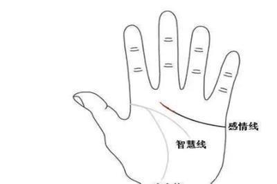 怎么看手相中的感情线 手相感情线分析