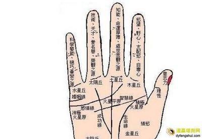 怎么看手相中的感情线 手相感情线分析