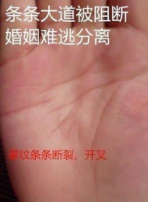 掌纹中的感情线断裂代表什么意思 感情线断裂好吗