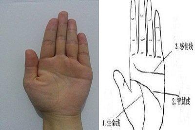 掌纹乱代表什么 掌纹乱的人命运好不好