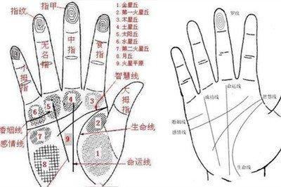 掌纹事业线图解 你手中的事业线代表什么