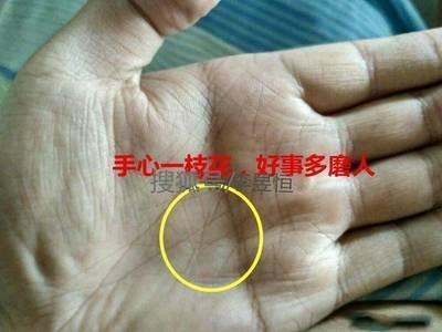 掌纹很乱是什么体验 掌纹乱的人命运如何