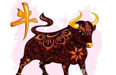 怎么看生肖属牛的人明年运势效果更好更有意义！