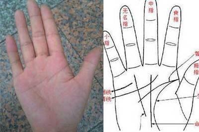 掌纹深的女人命运  女人掌纹深是什么意思