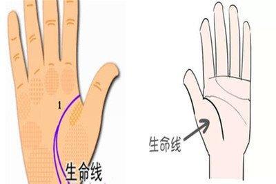 掌纹生命线短代表什么 生命线短的人命运如何