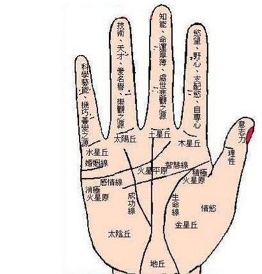 掌纹线的代表什么意思 手中掌纹线的含义分析