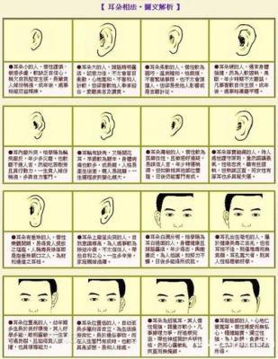 怎么看相 通过面相了解哪些人命运好