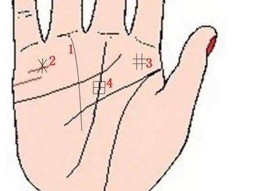 怎么看财运手相分析财运旺盛的特征