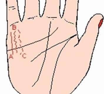 怎么看财运手相分析财运旺盛的特征 怎么看财运手相分析财运旺盛的特征