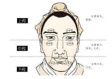 怎么看面相分析人 通过面相了解一个人的命运