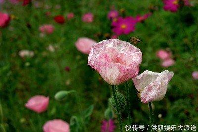 揭晓最有福气的女人面相旺夫一生不缺钱