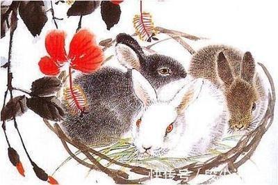 揭秘2025年生肖属兔的人桃花表现