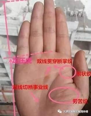 手上什么是事业线 事业线怎么看你事业运势的好坏