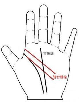 手上有两条智慧线的人怎么看一生发展