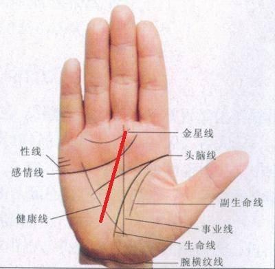 手上的事业线是什么意思 教你怎么看事业线