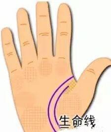 手上的生命线短代表什么 生命线短是好还是不好