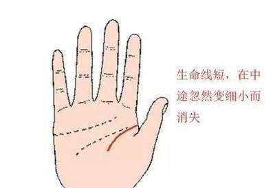 手上的生命线短代表什么 生命线短是好还是不好