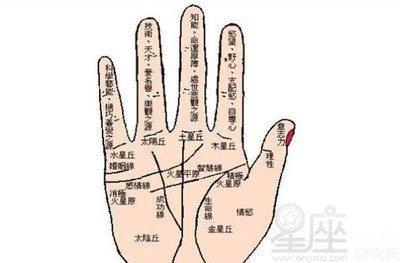 手上的财运线是哪一条 怎么看财运线