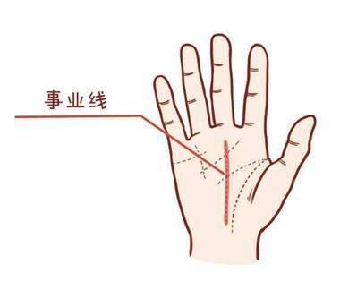 手把手教你事业线是哪条 手中的事业线该怎么看