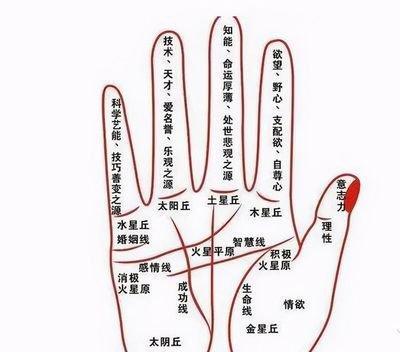 手把手教你看手相 看手相了解命运好坏