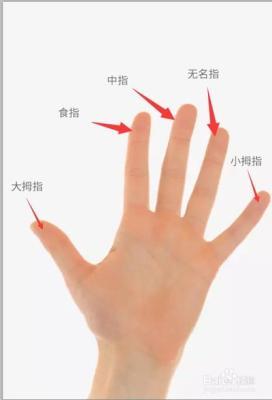 手指短又粗代表什么 手指粗短的人命运好吗