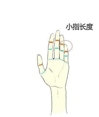 手指短意味着什么 手指短的人命运如何