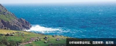 怎样才能让家庭养鱼的催财效果更好
