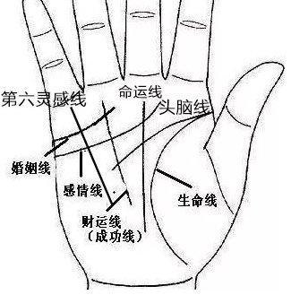 手指短的人手相如何 手指短意味着什么呢