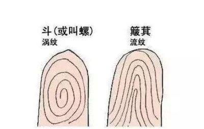 手指螺纹个数的说法 从手指螺纹个数看你命运好坏