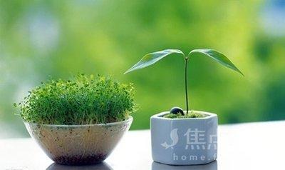 怎样旺桃花卧室里的物件应该这样布置！
