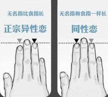 手指长短都代表什么性格 手指长短与性格的关系