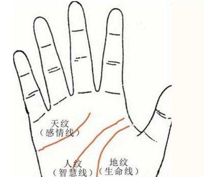 手掌上没有事业线 手相没有事业线好不好