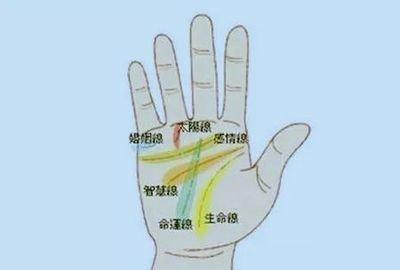 手掌中最重要的五条线纹特点介绍大全