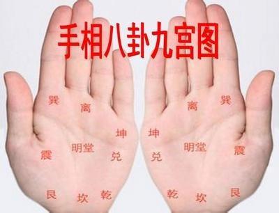 手掌乱纹多代表着什么 手上乱纹多是什么意思