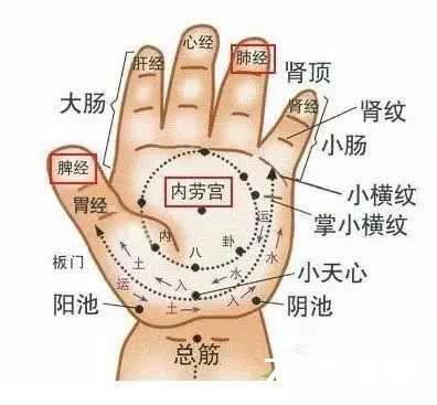 手掌厚的女人命运分析 女人手掌厚代表什么