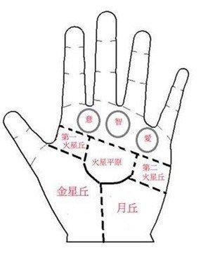 手掌厚的女人好命吗 女人手掌厚说明什么