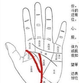 怎样的手相有福气 手相有哪些特征的人福气好