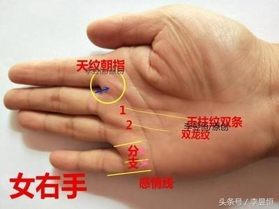 手掌川字纹的人命好吗 川字掌是怎样的手相