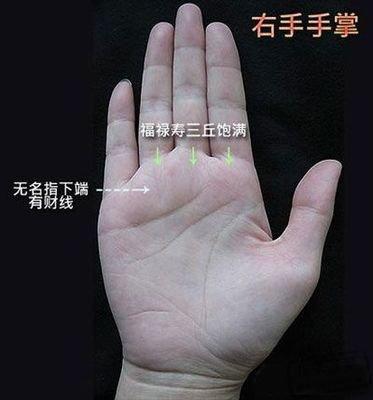手掌川字纹的女人命运 女人川字掌好吗