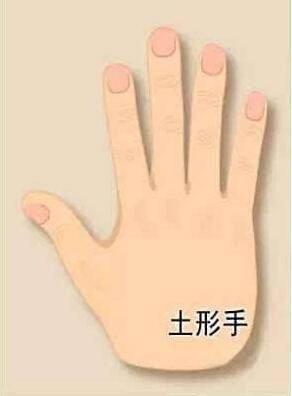 手掌很厚的男人命运分析 男人手掌厚是啥意思
