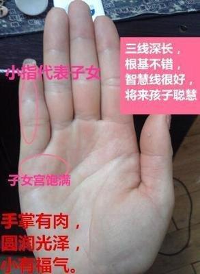 手掌有肉好吗 看看女人手掌有肉好不好