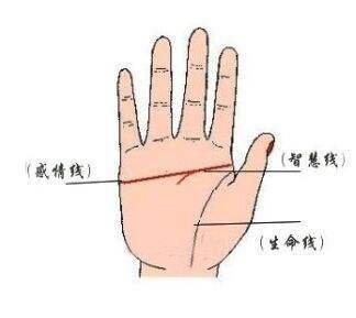 手掌生命线断开不好 生命线断开有什么影响